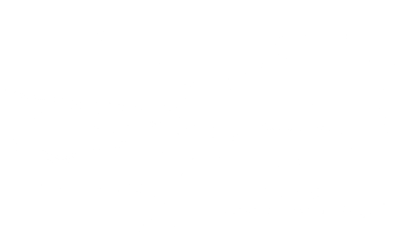 Black Lives Matter Rally – Syracuse, NY&nbsp;2016