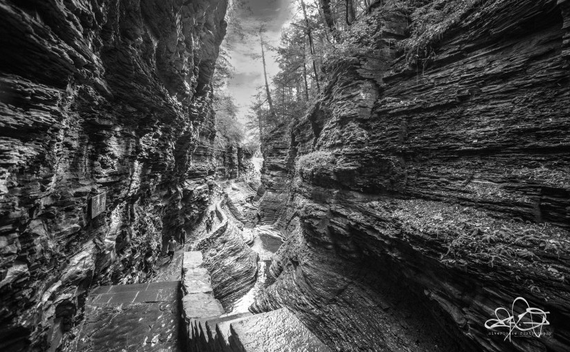 Watkins Glen State Park,&nbsp;NY