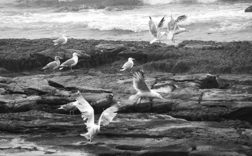 I Just Want To&nbsp;Know